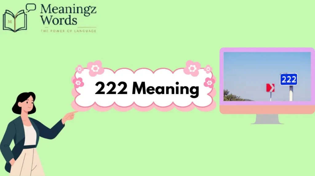 222 Meaning
