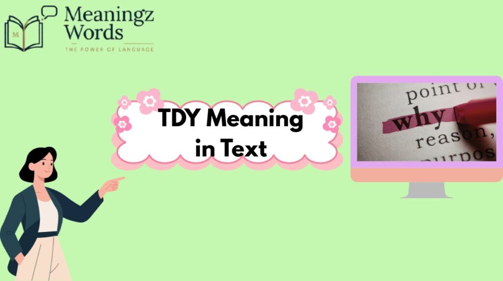 TDY Meaning in Text