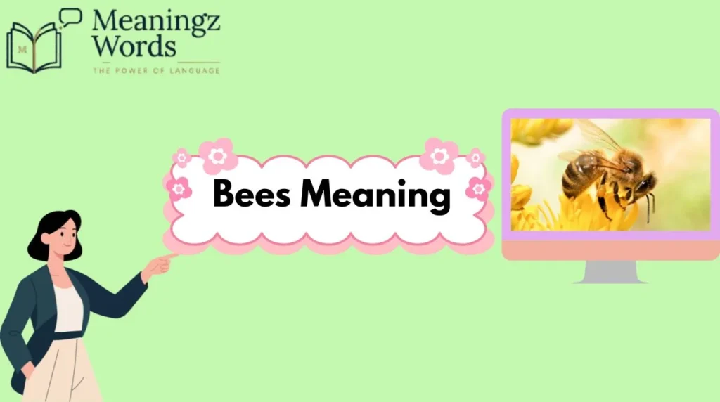 Bees Meaning