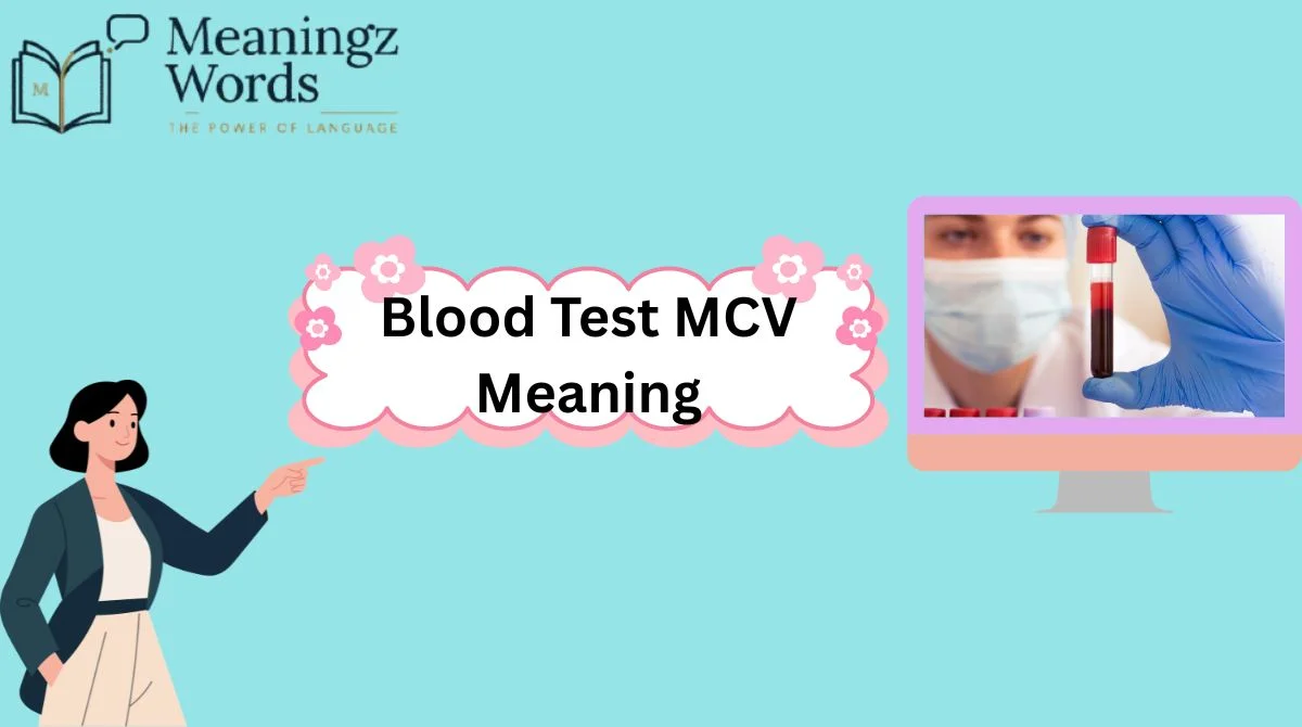 Blood Test MCV Meaning