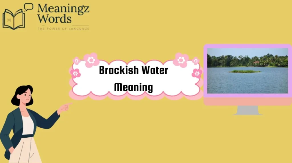 Brackish Water Meaning