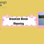 Brackish Water Meaning