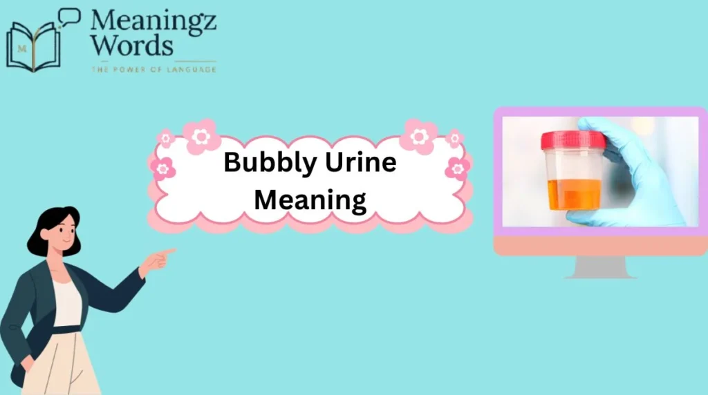 Bubbly Urine Meaning