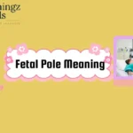 Fetal Pole Meaning
