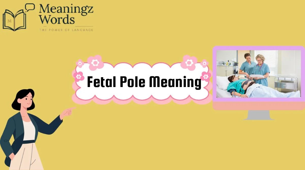Fetal Pole Meaning