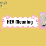 HEV Meaning