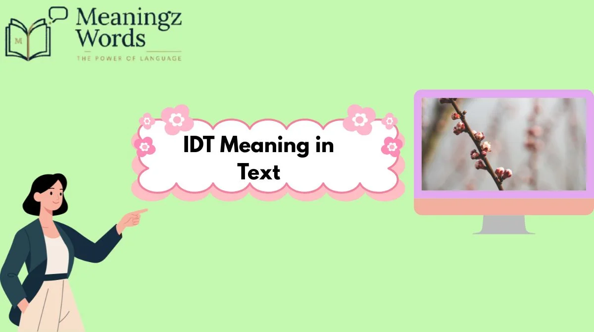 IDT Meaning in Text