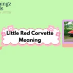 Little Red Corvette Meaning