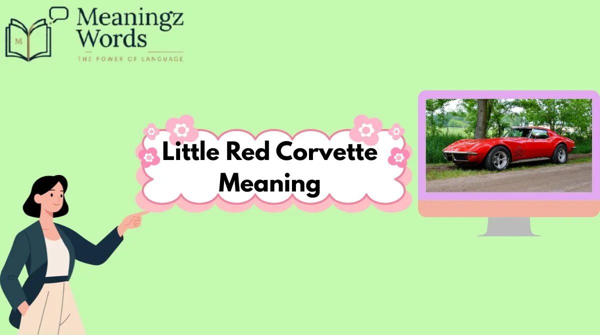 Little Red Corvette Meaning