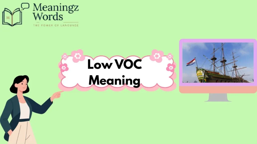 Low VOC Meaning