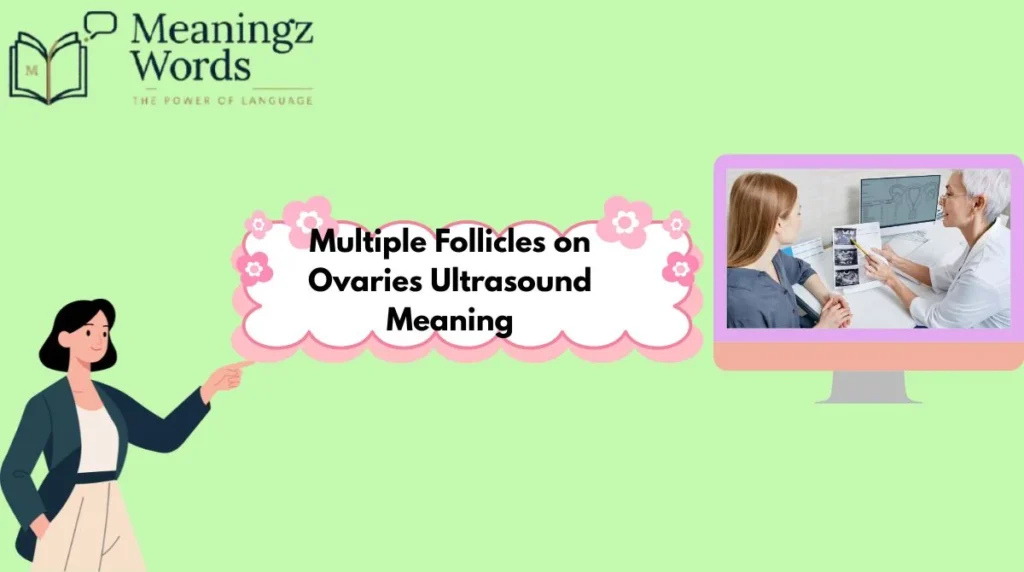Multiple Follicles on Ovaries Ultrasound Meaning