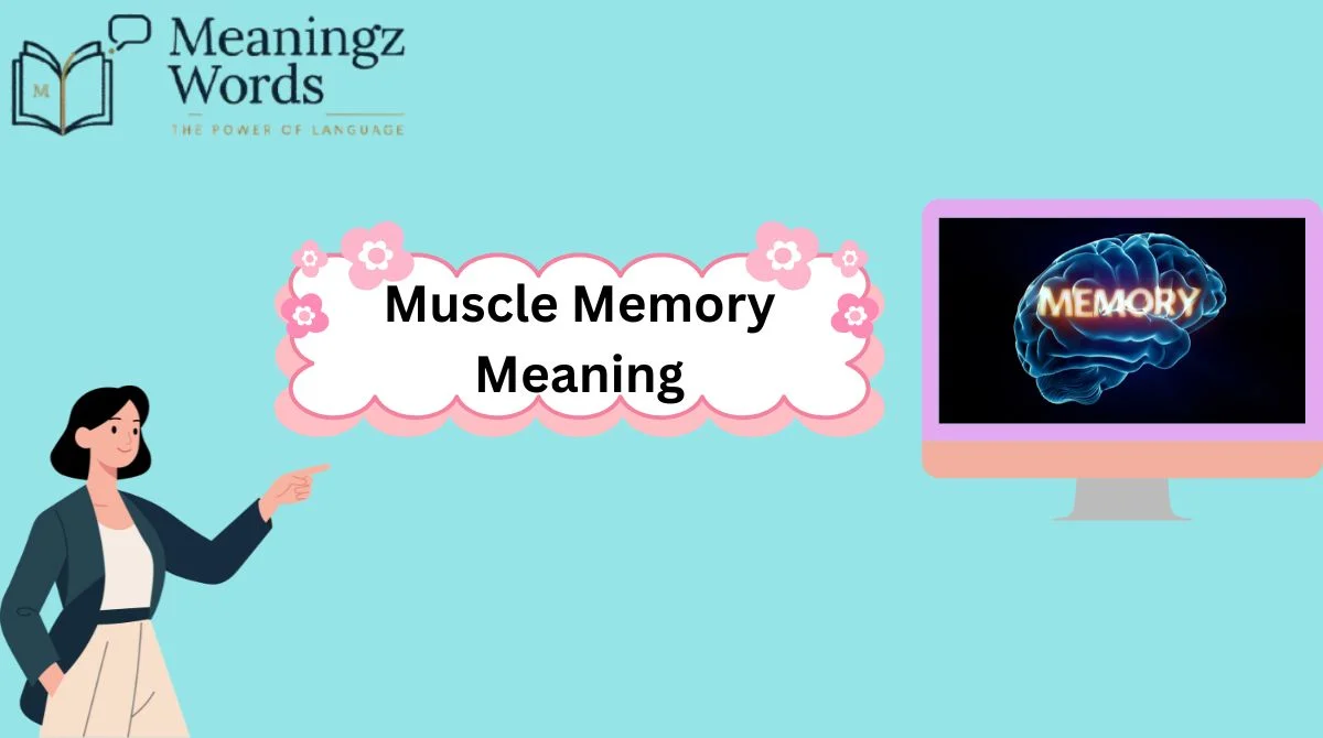 Muscle Memory Meaning