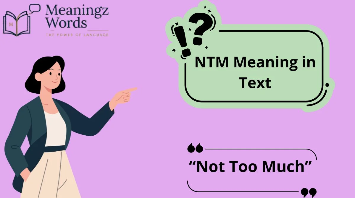 NTM Meaning in Text
