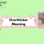 Overthinker Meaning