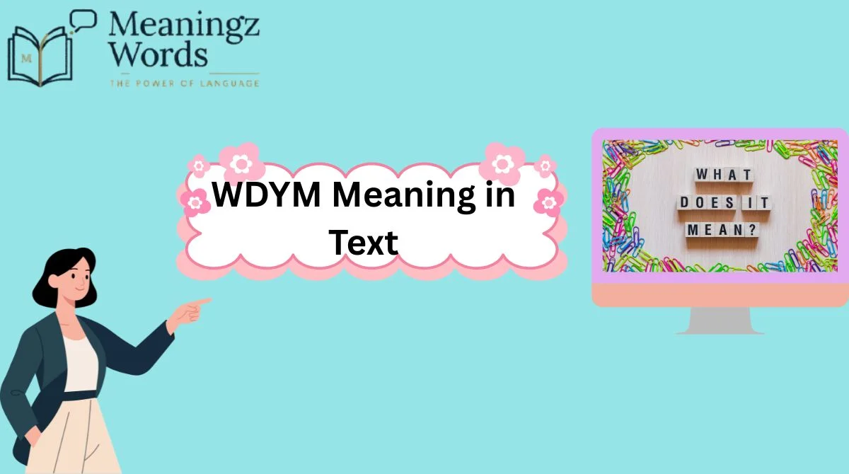 WDYM Meaning in Text